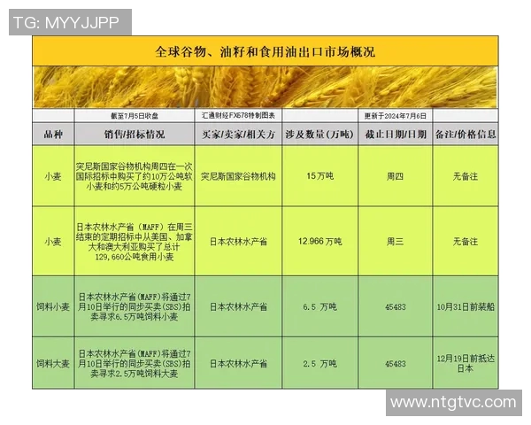 上海网球队的管理策略与发展动态深度解析 上海网球队的管理策略与发展动态深度解析